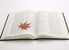 奥格斯堡主场大败，遭遇困境